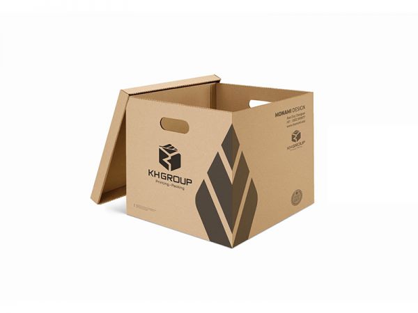 Bao bì thùng Carton là gì