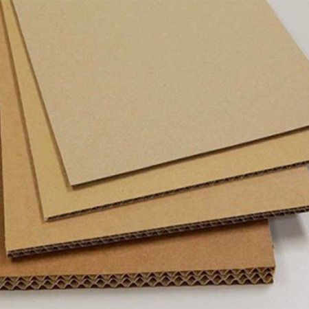 Giấy cuộn 1 lớp và 2 lớp